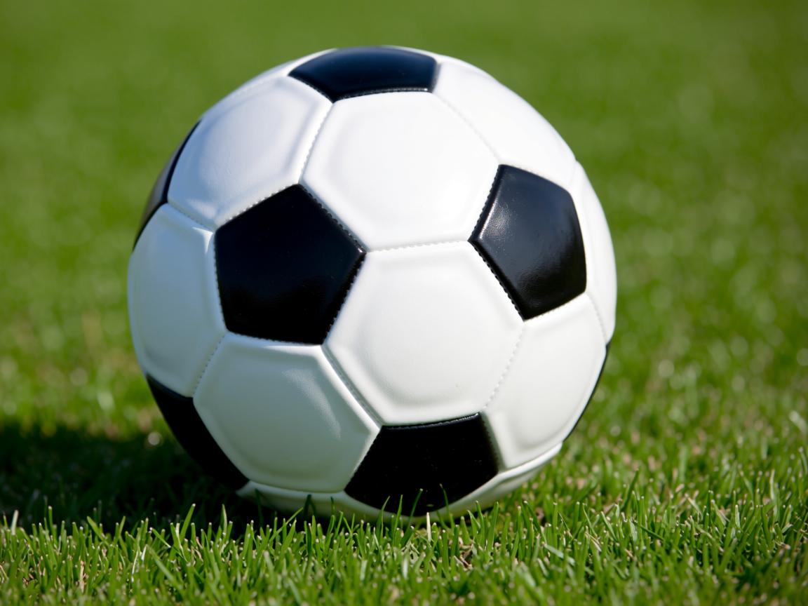 平博888-中国女篮连续夺冠 目标更进一步，中国女篮夺冠概率  第3张